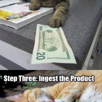 420lolcat