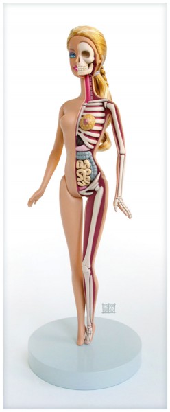 squelette-anatomie-barbie-1