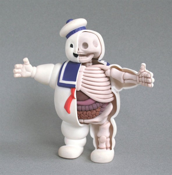 squelette-anatomie-fantome