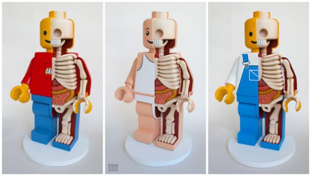 squelette-anatomie-lego-1