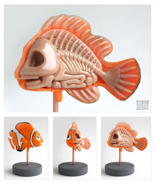 squelette-anatomie-nemo
