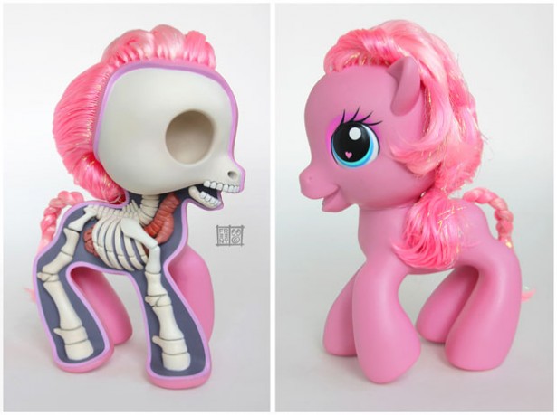 squelette-anatomie-petit-poney