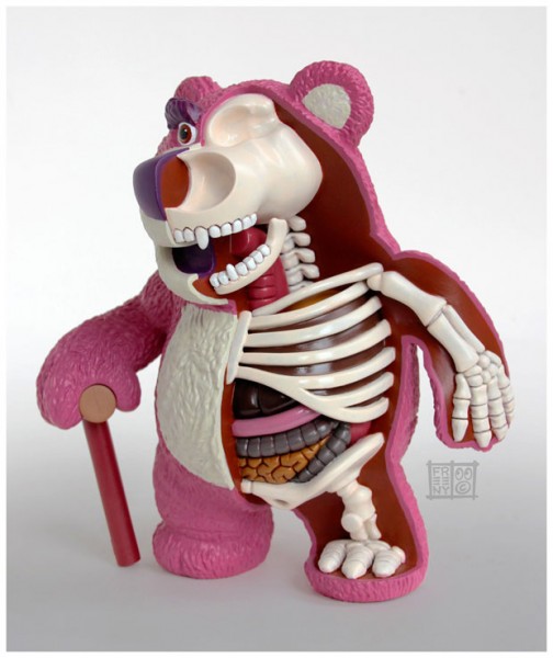 squelette-anatomie-pop-culture