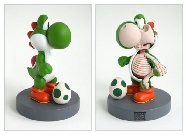 squelette-anatomie-yogi