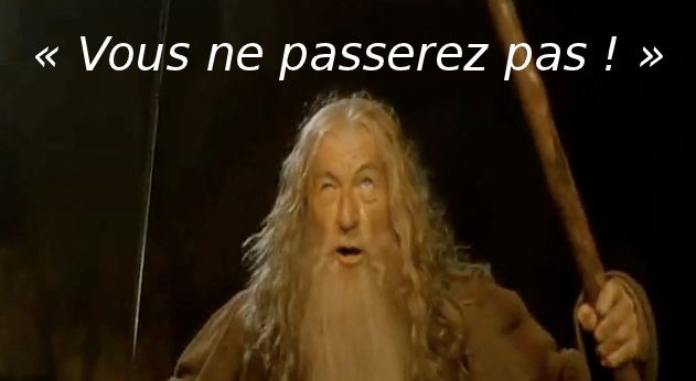 Gandalf-You-Shall-Not-Pass-Ian-McKellen