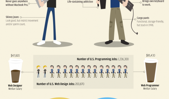 Web-designers Vs Web-Developers